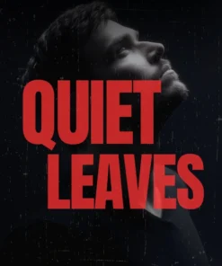 Quiet Leaves: Simple essays for introverts, sensitives, and lovers of small joys by Mike Evelin